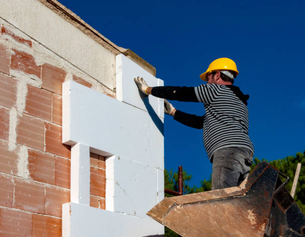 Best Insulation Installation Services in Lake Darby, OH